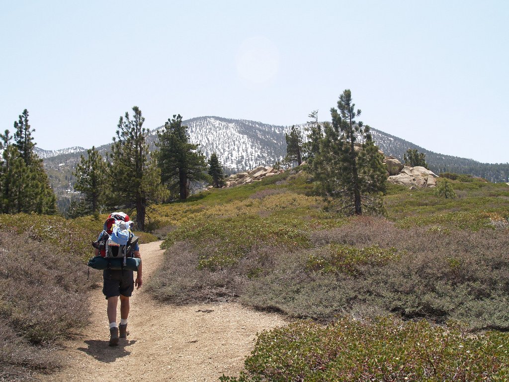 San Bernardino Peak by simonov San Bernardino Peak photo