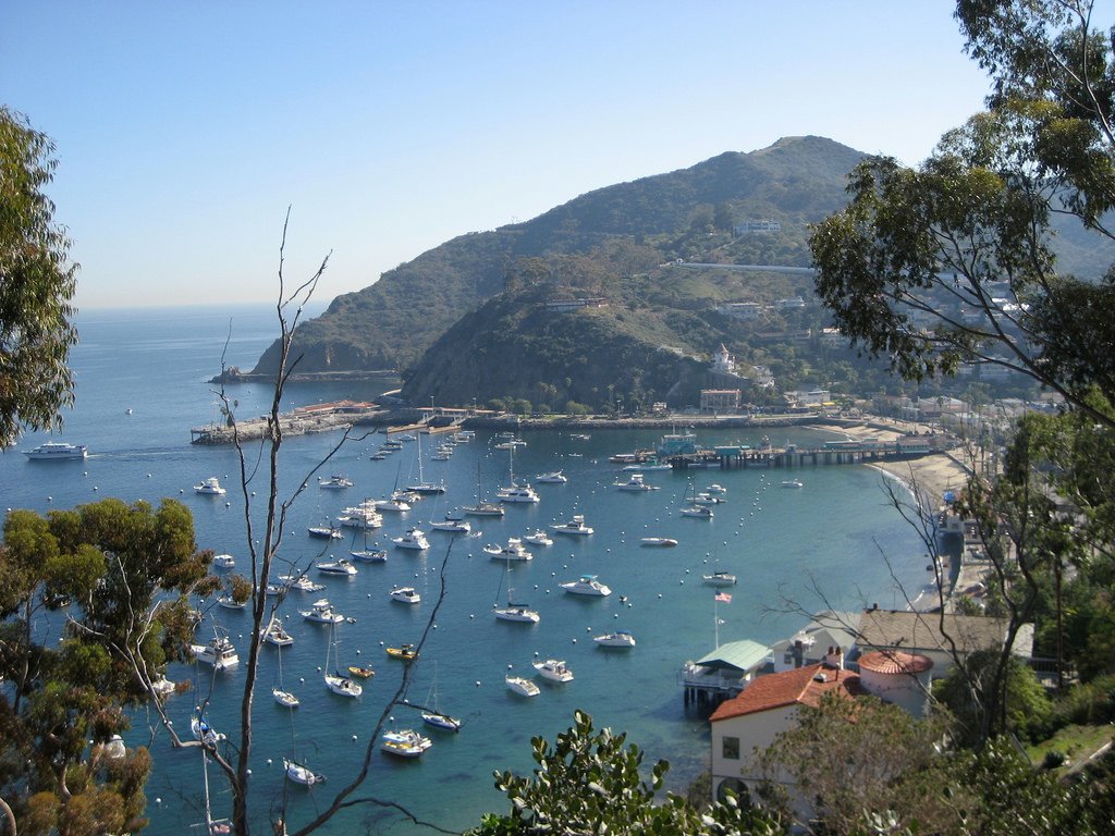 Catalina Island Day Trip by theritters Catalina Island photo
