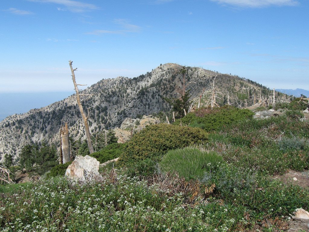 Ontario Peak by simonov Ontario Peak photo