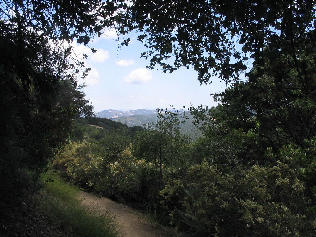 Henry Coe State Park by dbaron Henry Coe State Park photo
