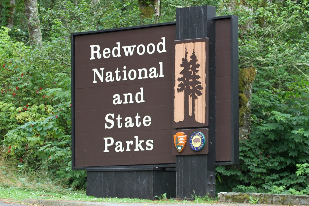 redwood national state park