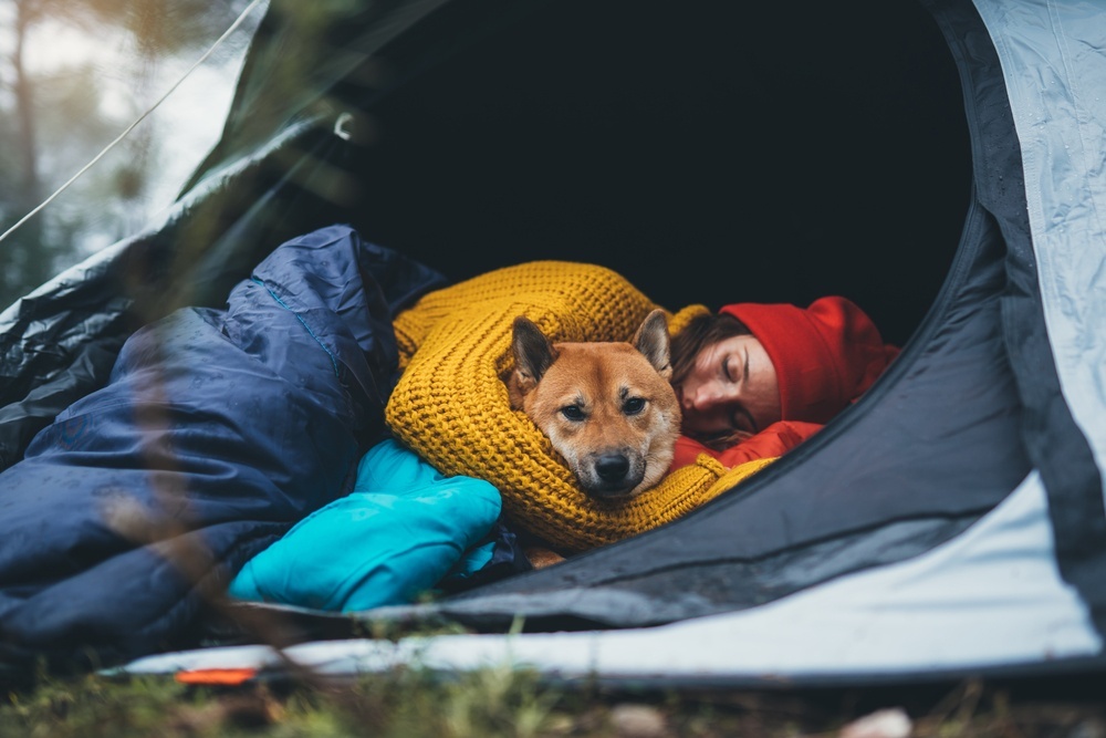 Best Sleeping Bags for Dogs