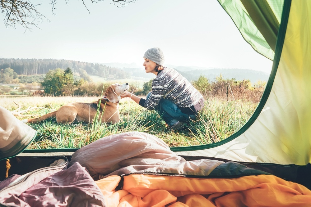 Best Tents for Camping with Dogs